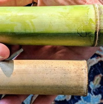 Bamboo Coffee Cups: don't be Bamboozled